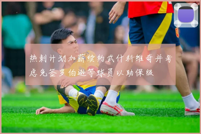 热刺计划加薪续约武什科维奇并考虑免签罗伯逊等球员以助保级